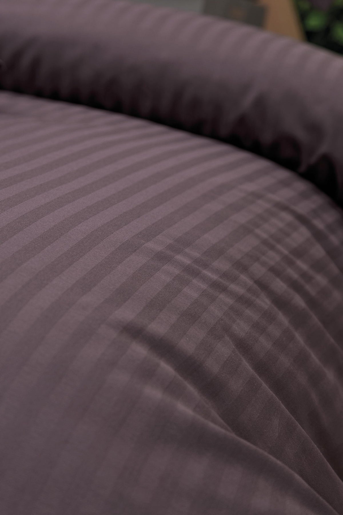 Постільна білизна Altinbasak Poplin 200 х 220 см  Infinity Berry